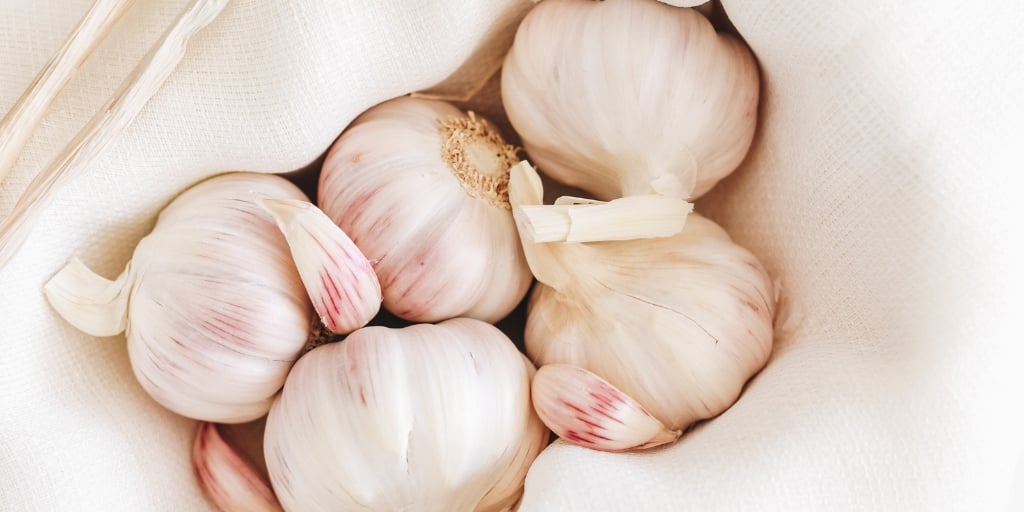 garlic