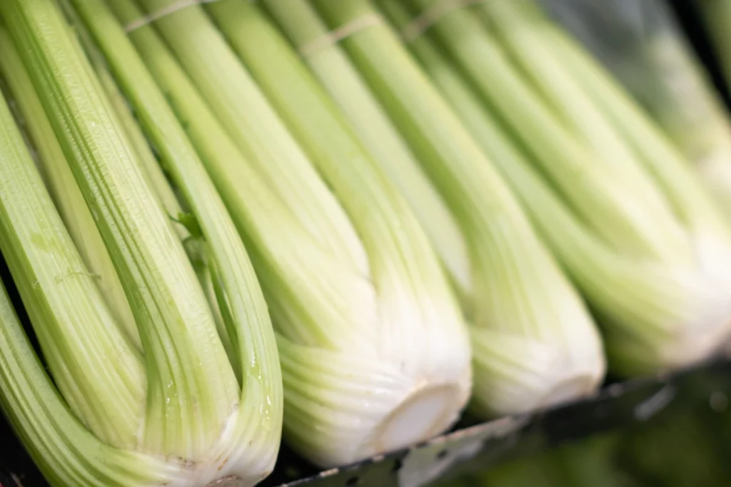 Celery
