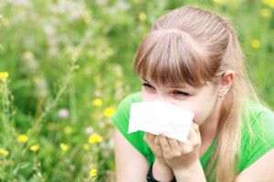 Top 5 Summer Allergens Feature Image