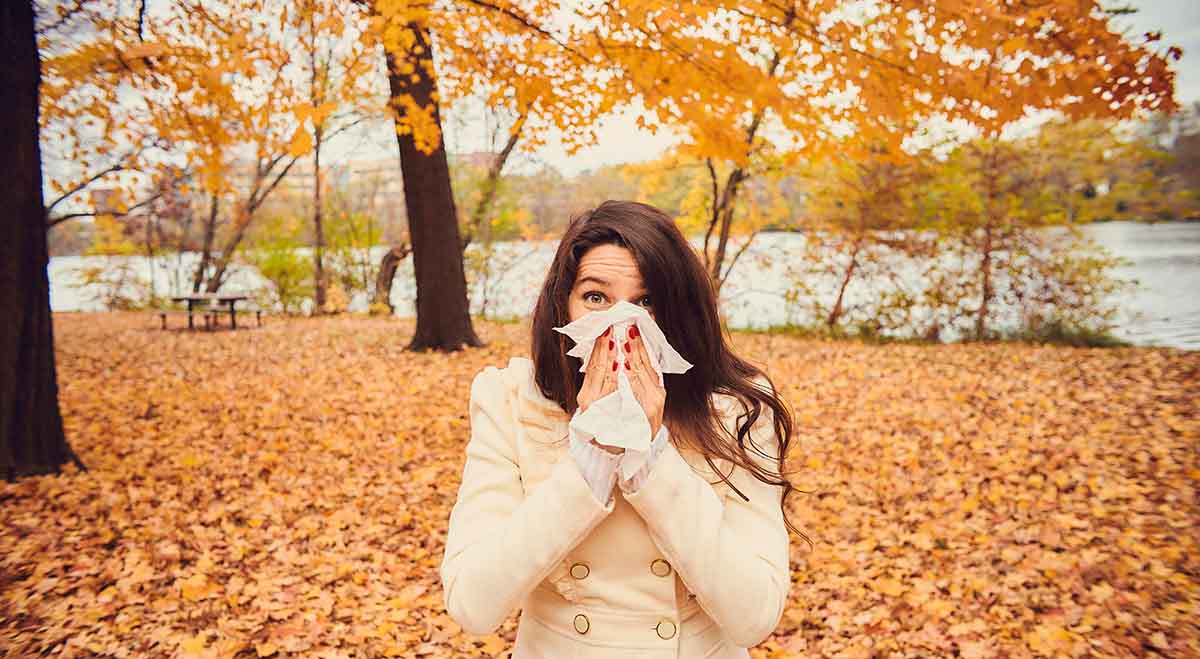 Seasonal Allergy Guide: Fall Feature Image