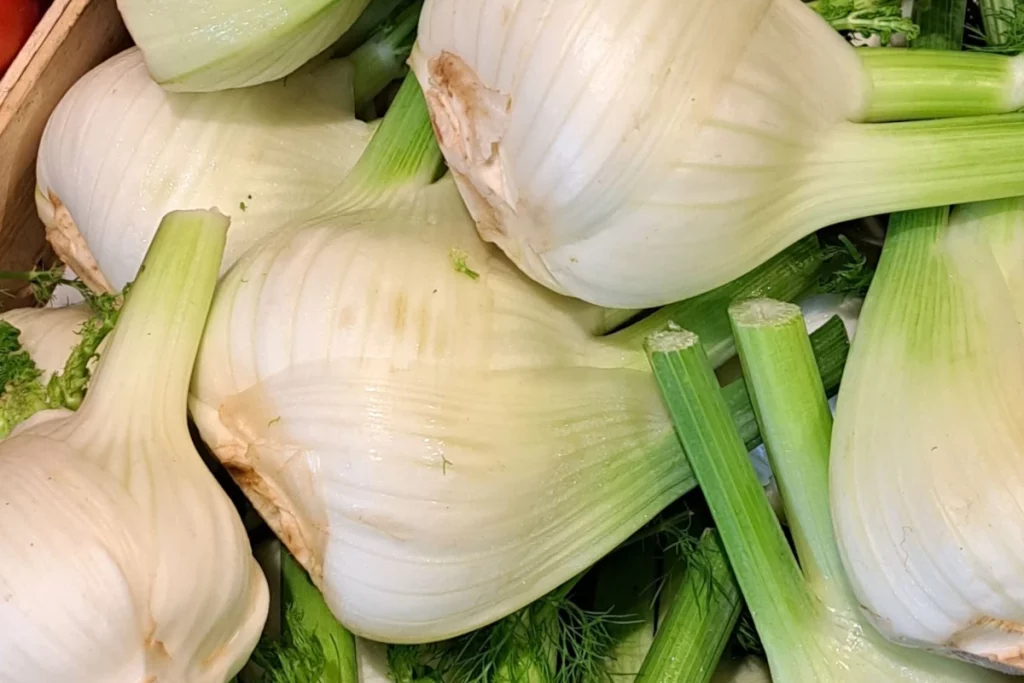 Fennel