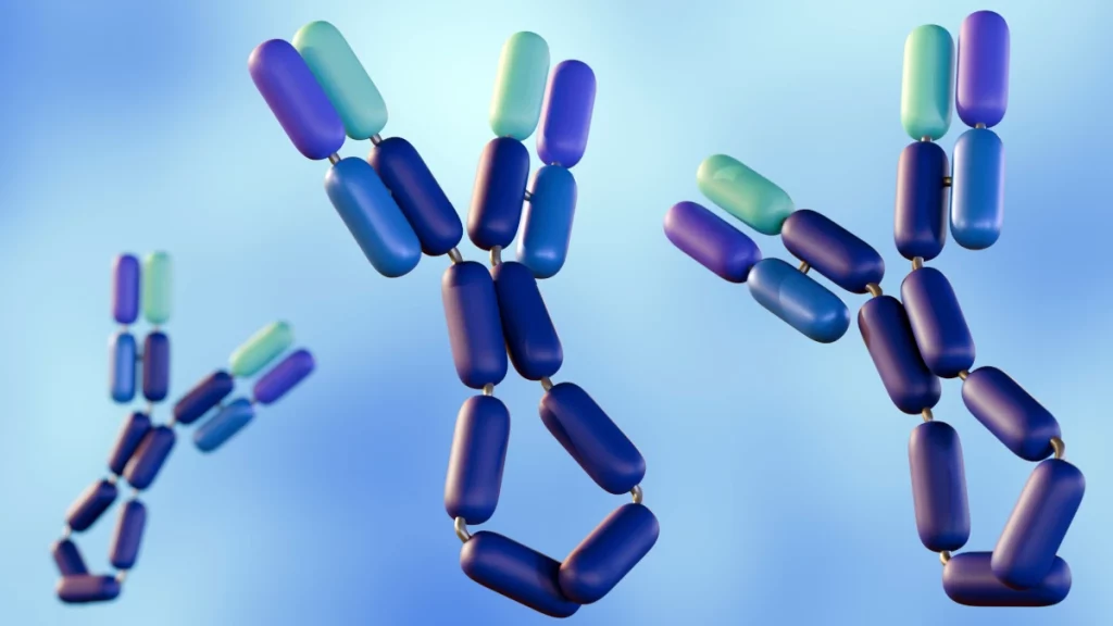 Immunoglobulin E (IgE)