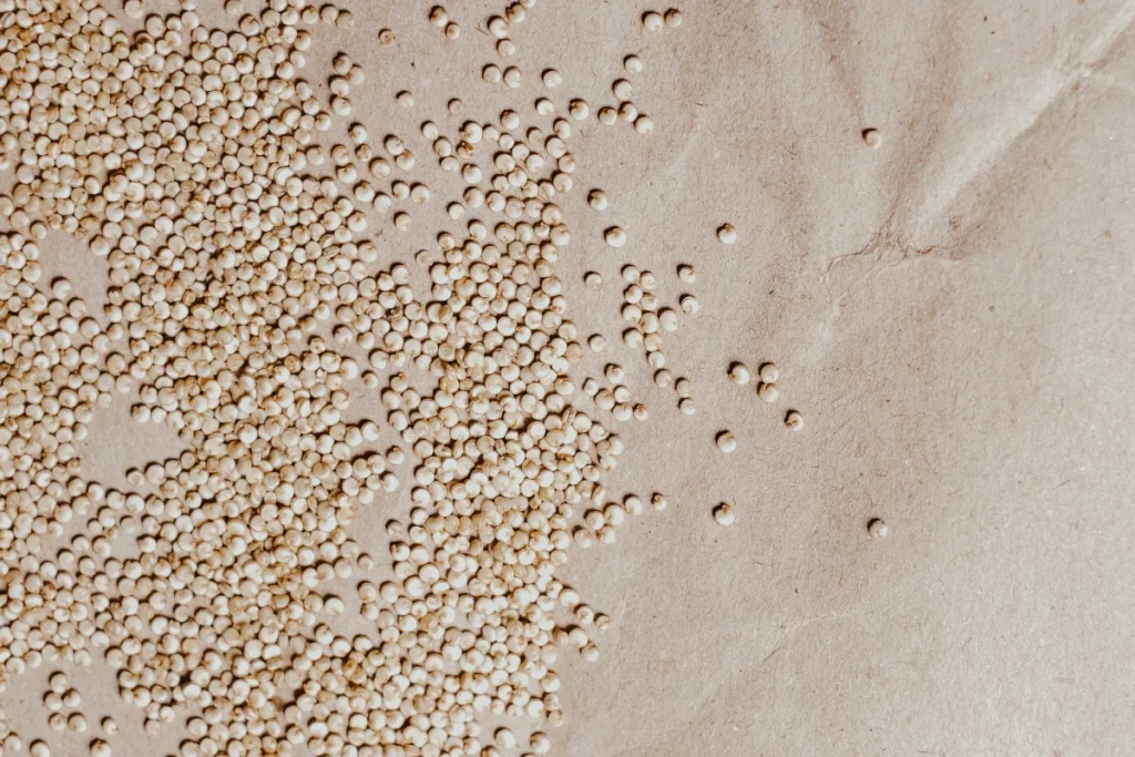 Quinoa