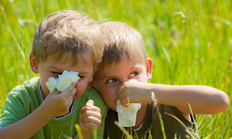 Two children in field blowing their noses