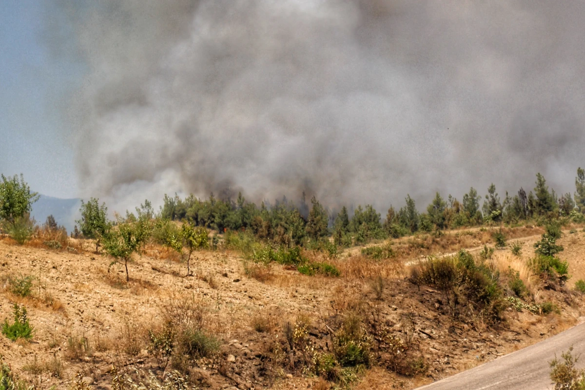 Wildfire smoke